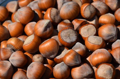 produzione di arbusti da frutto ornamentali in Polonia