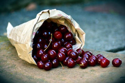 produzione di arbusti da frutto ornamentali in Polonia