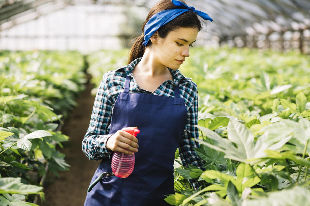 produzione di arbusti da frutto ornamentali in Polonia